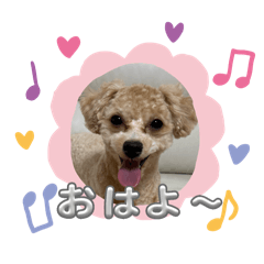 SUZU_20250129234150