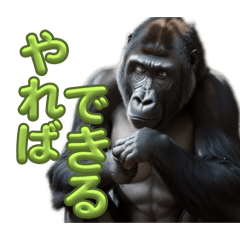 mmmma_20250129193321