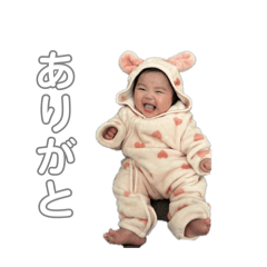 cocoitoiroha