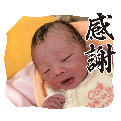 taka_20250130075024