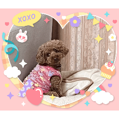 yuki_20250129211622