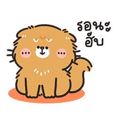 Puupoong the fluffy cat (TH)