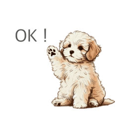 Lotty_20250129235031