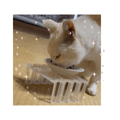 hiro_20250130153338