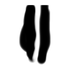 RAI_20250129195915