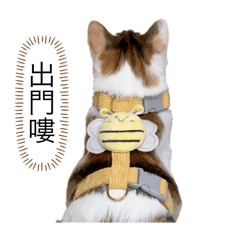 努努滴日常