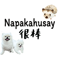 (Philippines Tagalo) Hedgehog Dog Daily