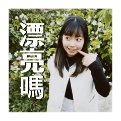 哈嘍我叫陳液化