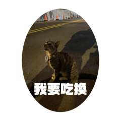 王鮭魚の貓