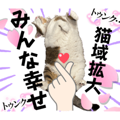 Shun_20250130124448