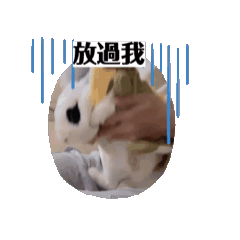 會動的令狗
