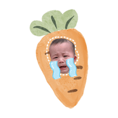 羅蔡頭