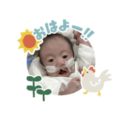 yoko_20250130153634