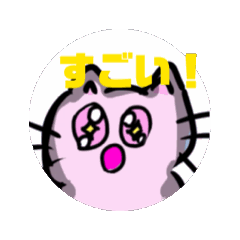 cat_20250130162006