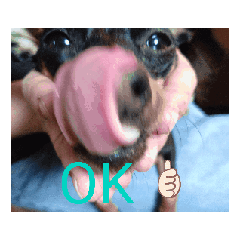 RiRi_20250130184652