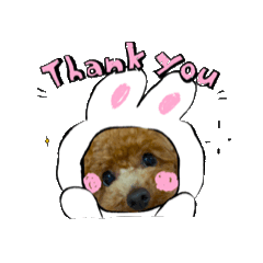 choco_20250130203907