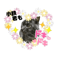 yasu_love