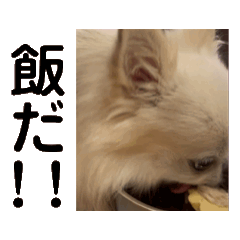 yoko_20250130231742