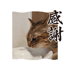 MARI_20250131103734