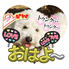 買っている犬のスタンプあああ