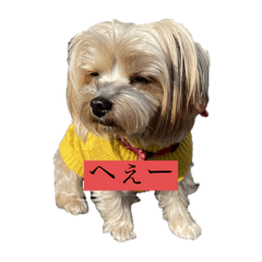 kazuki_20250130184639