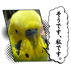 raimu&azuki_20250130183753