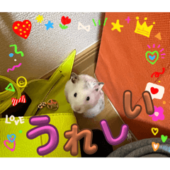 love_20250130183515