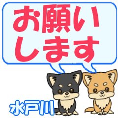 Mitokawa's letters Chihuahua2