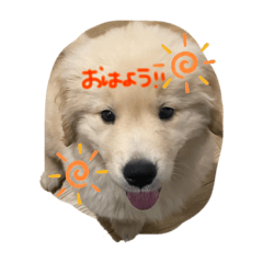 N_20250130170038