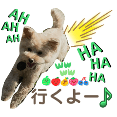 tomomi_20250130170828