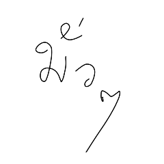 Tulip_20250130190524