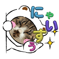 mii_20250130192446