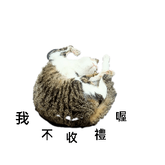 學妹與狗與各種動物
