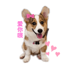 茶茶ㄟ