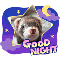Nina_20250130175404