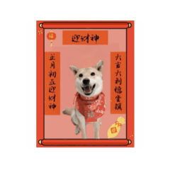 我家有一隻柴Jerky 5