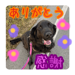 mai_20250130170620