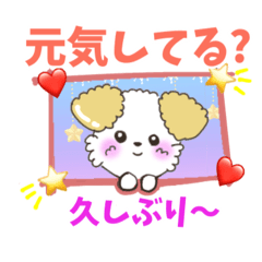 nori_20250130195349