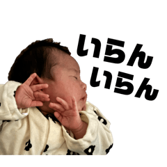 mao_20250130202234
