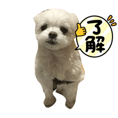 karin_20250130210047