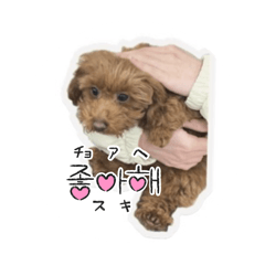Riho_20250130220429