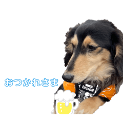 piyo_20250130232602