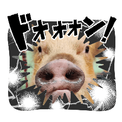 hika_20250130231840