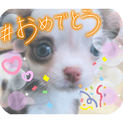 riri_20250130220857