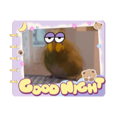 Birdie lover stickers