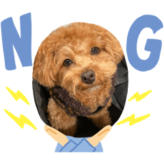 NAGI_20250130224049