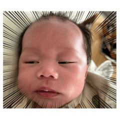 sak_20250130223223