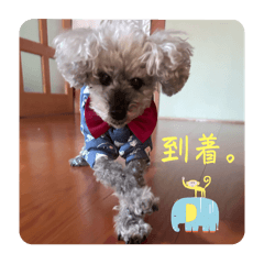 Kyoko_20250131112149