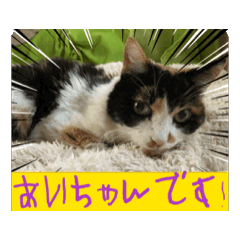 hana_20250131125726