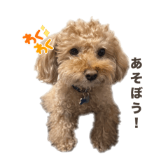 CHOCO_20250130200821